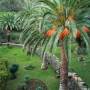 Madeira Machico photo