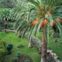 Madeira Machico photo