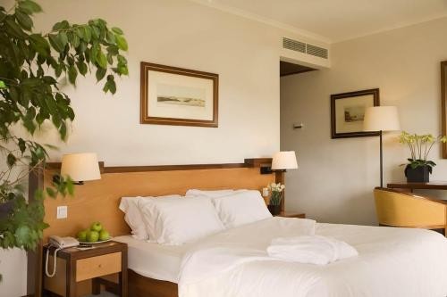 Double or Twin Room with Extra Bed (adult)