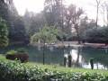 Costa Verde Braga photo