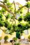 Lisbon Sintra photo