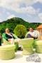 Lisbon Sintra photo