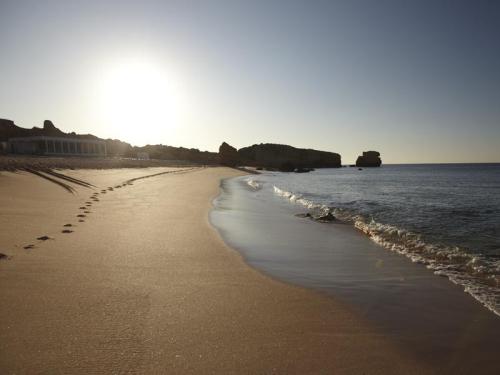  Algarve Albufeira 