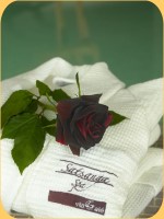 Hotel Vila Gal� Praia - Details
